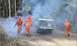 Dichiarazione stato di massima pericolosità incendi boschivi su tutto il territorio regionale.