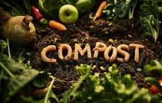 Ammendante Compostato Misto (COMPOST) â€“ Avvio campagna ritiro gratuito